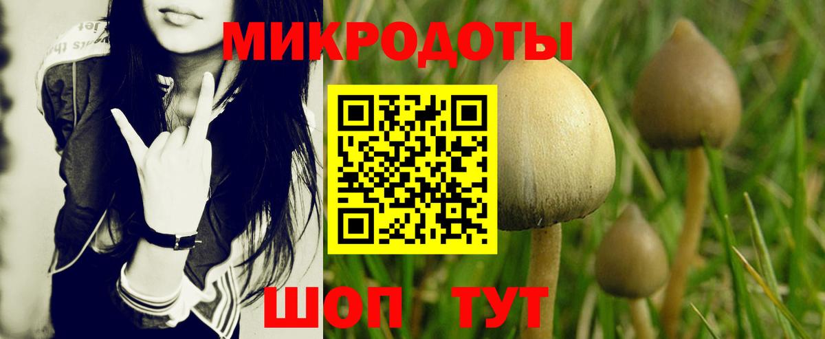 Псилоцибиновые грибы Psilocybe  Вход с VPN  сколько стоит  Псилоцибиновые грибы Psilocybine cubensis  Красный Сулин 
